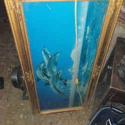 Dolphin Picture With Plug In