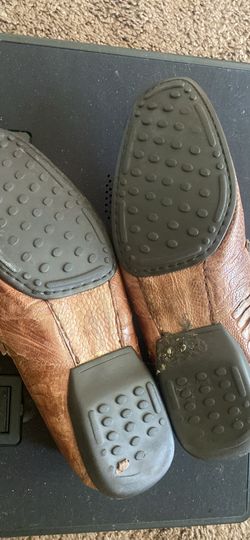 Alligator City Slicker