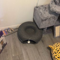 For Cats