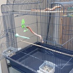 bird cage