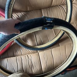 SE Bozack 29" Tires and Tannus Sleeve