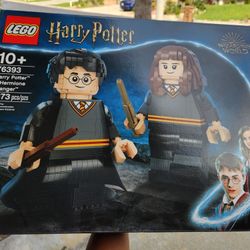 Lego 76393 Harry Potter And Hermione Brand New