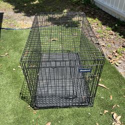 Dog cage 36x24x25