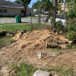 Free Mulch Bring A Shovel 