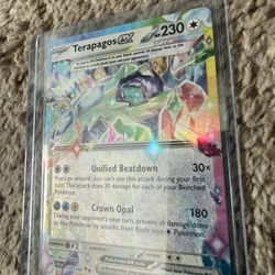 Pokémon Cards