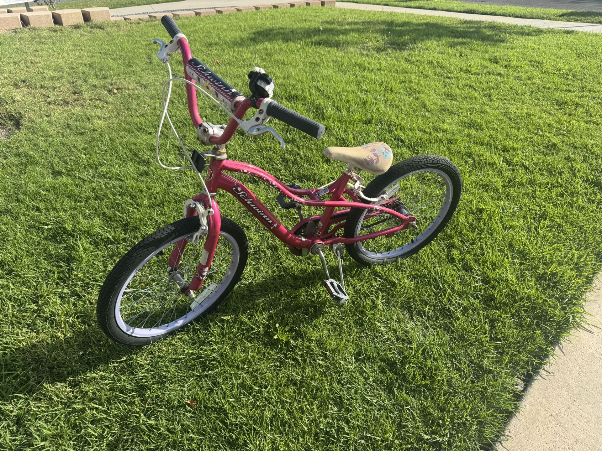 20” Schwinn Girl Bike
