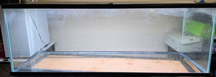 60 gallon aquarium