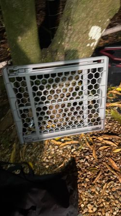 Dog fence