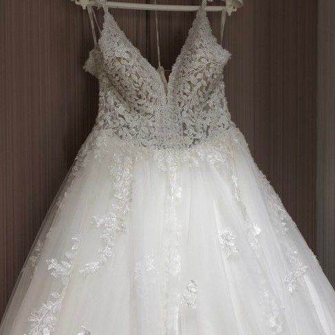 Pronovias Lucrezia Wedding Gown