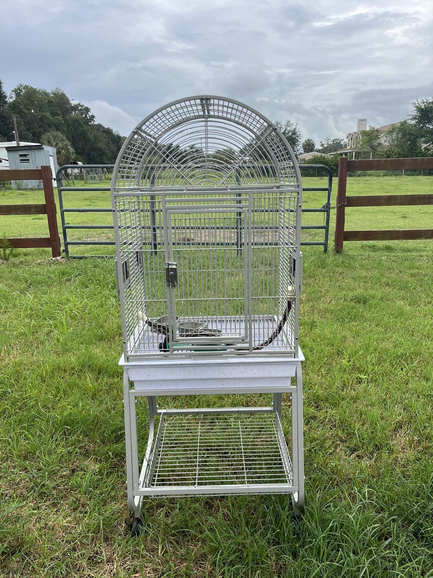 Bird Cage