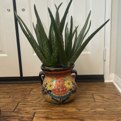 Ceramic Pot With Plastic Cactus