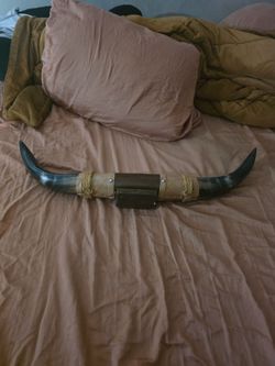Mounted Longhorn Steer Horns