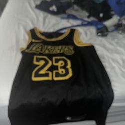 Lebron Mamba Jersey