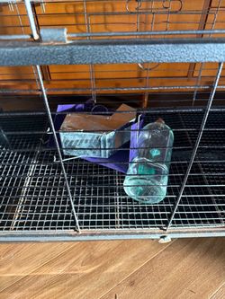 Animal/bunny cage