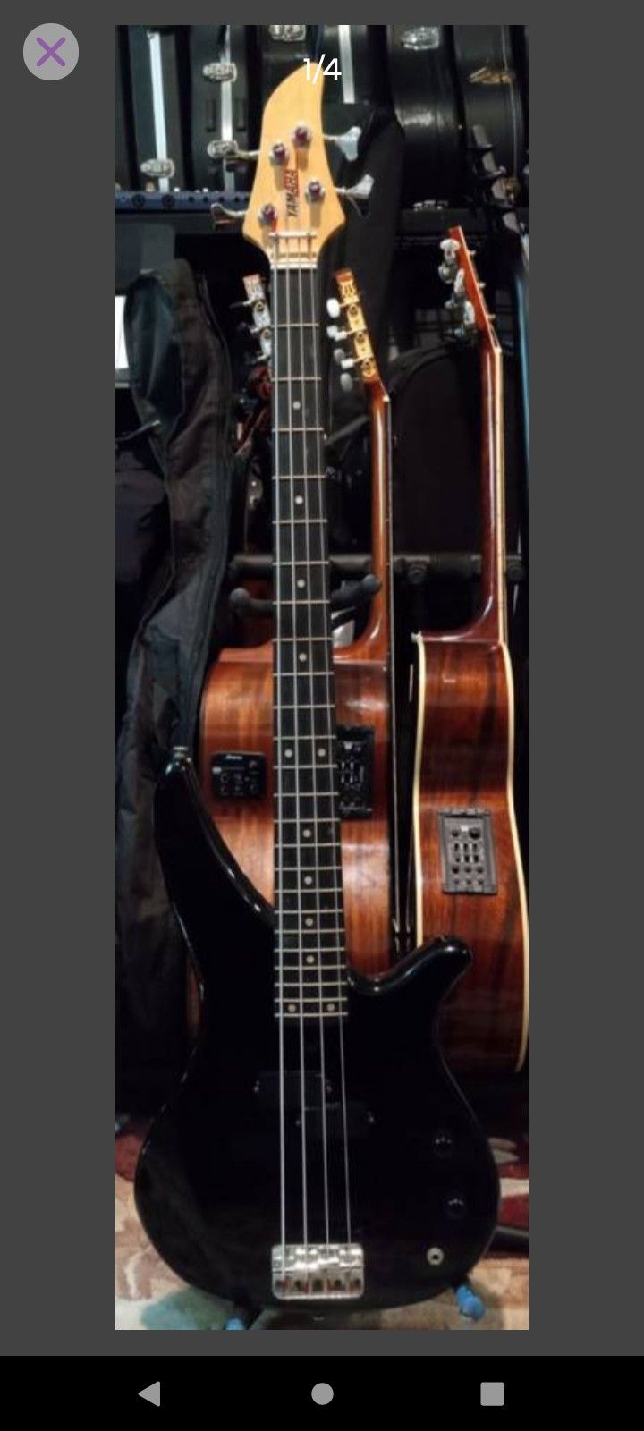 Bass Guitar 