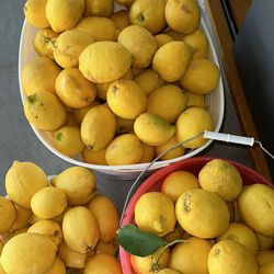 Lemons