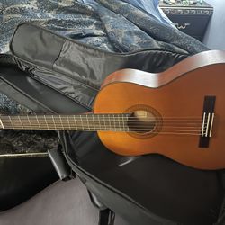 Acoustic Guitar 