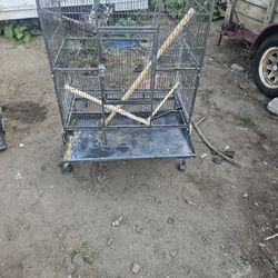 Bird Or Ect Cage