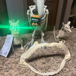 Shark Jaws And More 