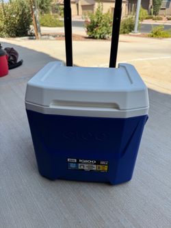 Igloo 16 qt cooler