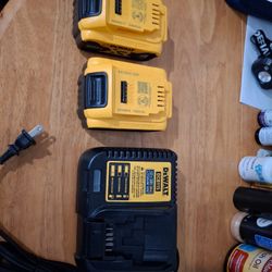 dewalt 20 v max batteries