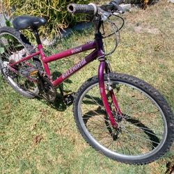 Raleigh Mountain Scout, Just Tuned Up