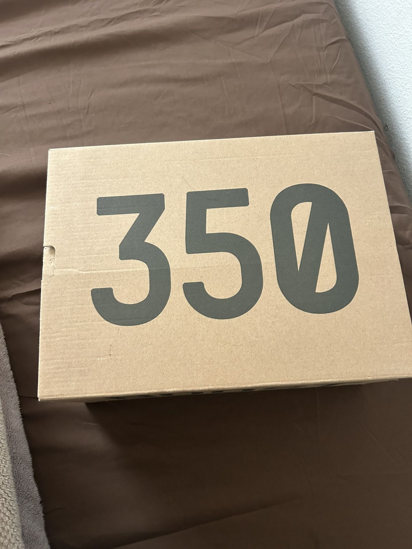 350 Yeezys V2 Slate 5.5 Use