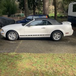 Mustang  Convertible 