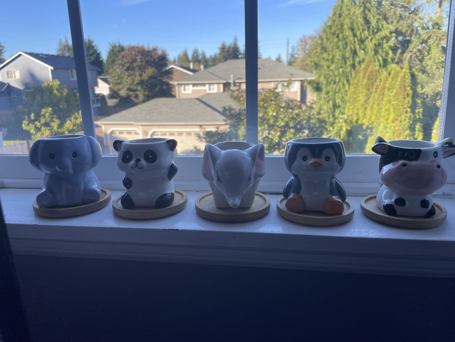 5 Cute Small Plant Holders