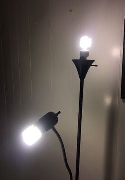 Black 65 Inch Lamp with 2 Lights