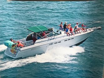 1987 332 Amerisport