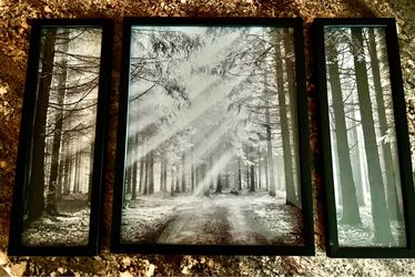 Framed Art