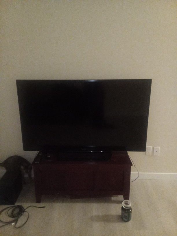 60 Inch TV