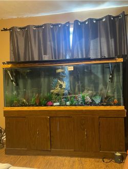 150 gallon tank