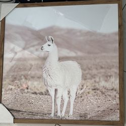 Framed Llama Alpaca Portrait Home Decor NEW 