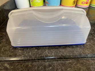 Tupperware Cupcake/Cake Container