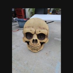 Halloween Decoration 