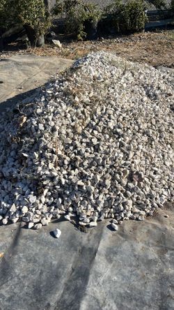White rocks