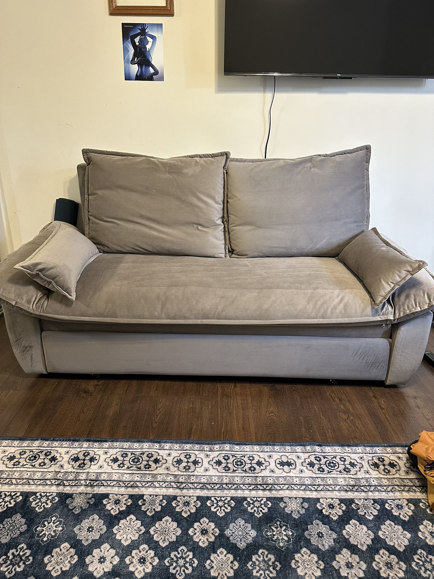 Pull Out Sofa