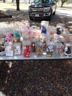 Beanie Baby Collection