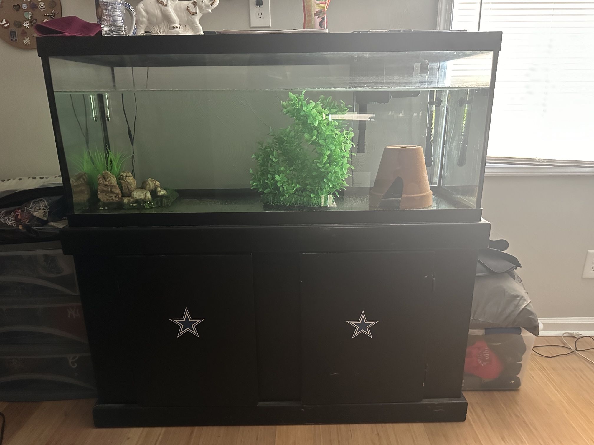 75 Gallon Fish Tank