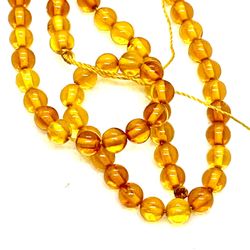 Baltic Amber Strand