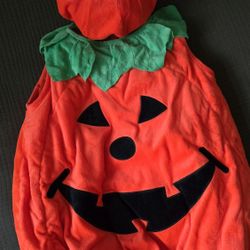 Pumpkin Suit Costume
