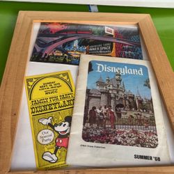 Disneyland Collection