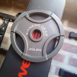 Two 25lbs Olympic Weights