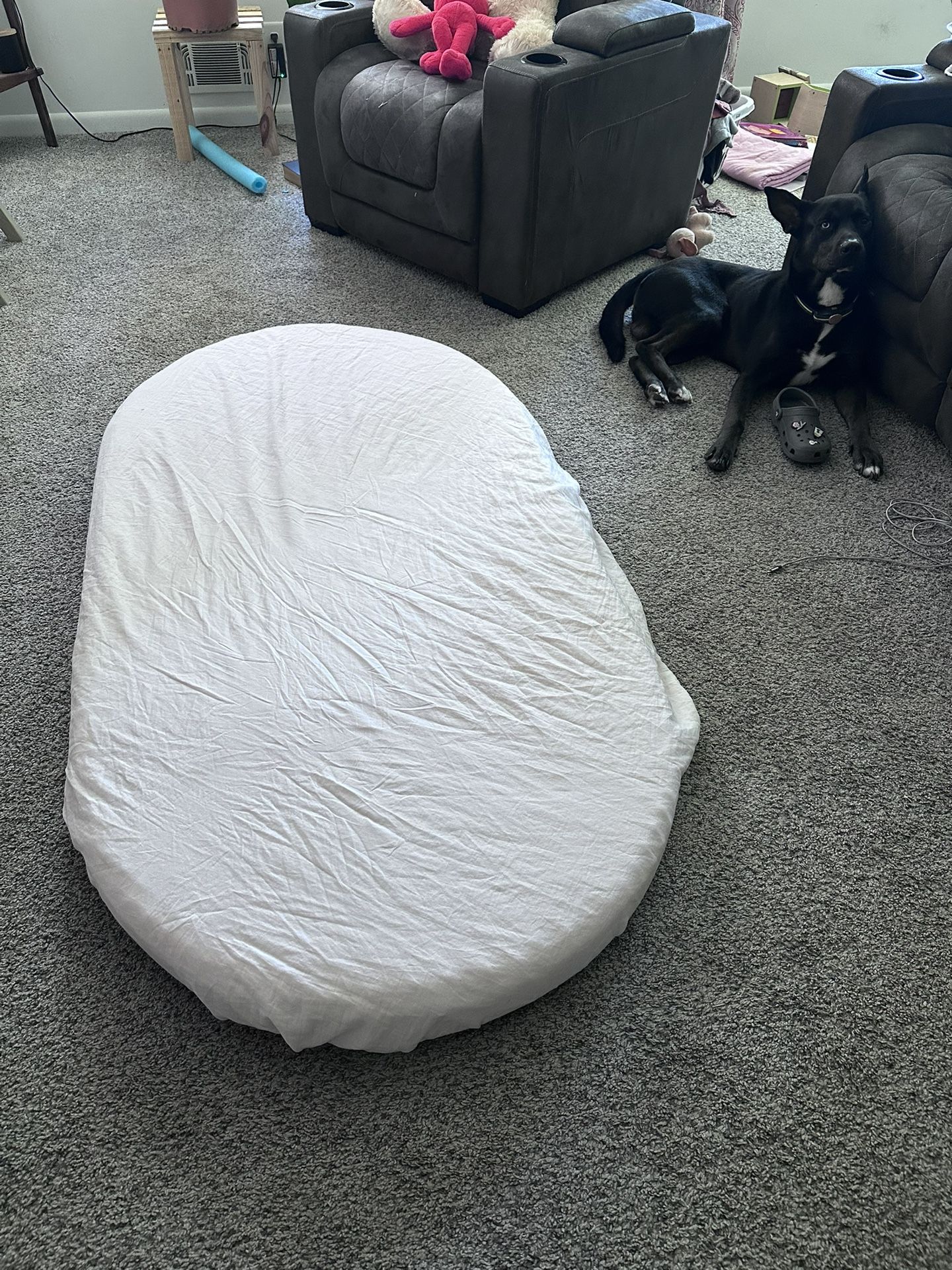 Large Baby/Pet Mattress *Brand new*