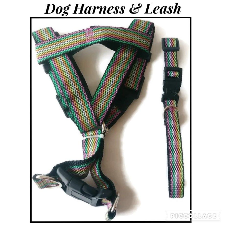 Greenbrier Kennel Club Dog Harness With Matching Leash Medium Adjustable Stripped