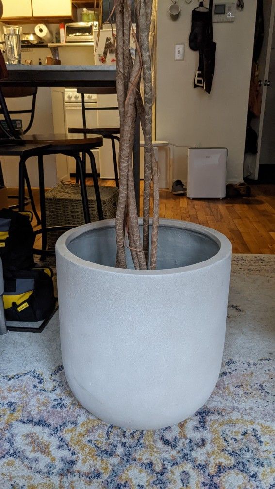 West Elm Radius Ficonstone Planter Medium