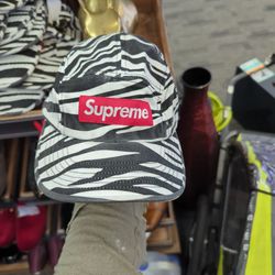 Supreme Zebra Print Hat Lot