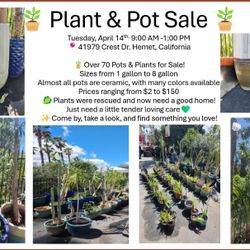 Plant & Pot Sale-Tuesday April 14th 9am-1pm